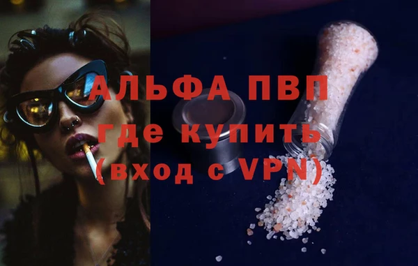 сатива Волосово