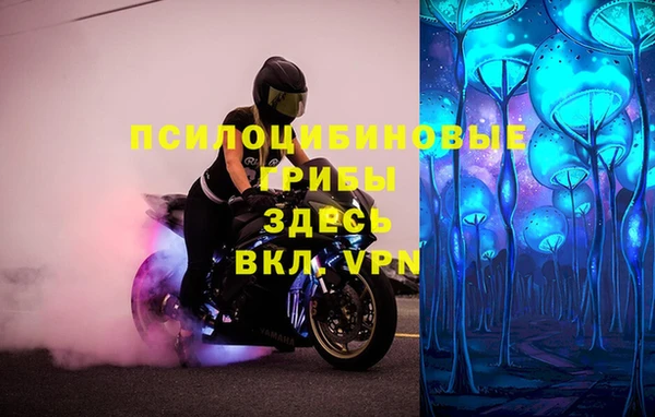 сатива Волосово