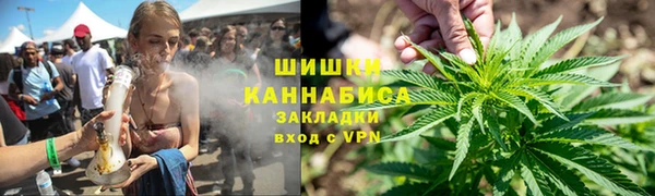 дживик Володарск