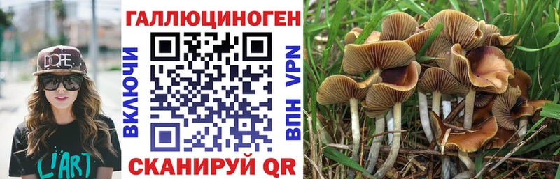 гидра как зайти  Выкса  Псилоцибиновые грибы MAGIC MUSHROOMS 
